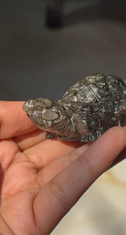 Pyrite Prosperity Tortoise (Sacred Vastu Kachhua)